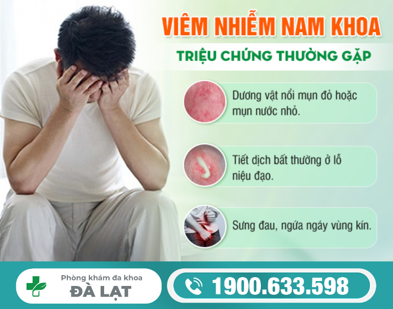 Hình ảnh minh họa